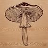 Colorful Mushroom Graphics A stylized graphic representation of a mushroom in various shapes and sizes.