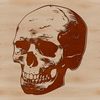 A detailed illustration of a skull with intricate design elements, suitable for tattoo designs or stencil making.