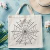 A stylized illustration of a delicate spider web in vector format.