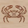 Flat Shell Crab Design An illustration of a crab with a flat shell and long claws.