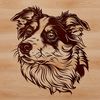 Australian Shepherd Dog Breed Portrait A high-quality digital illustration of a dog's head with distinct features typical of the Australian Shepherd breed.
