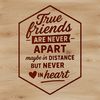 A collection of inspirational quotes about friendship in a simple, modern font style.