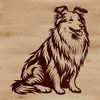 Loyal Shetland Breed Pup at Rest A sitting Shetland sheepdog breed with distinctive features.