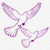 Dove Graphic Vector Illustration A white dove graphic icon in vector format, suitable for digital design projects.