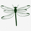 Colorful Dragonfly Graphic Illustrative dragonfly graphic in vector format, suitable for digital applications and cutting machines.