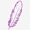 Elegant Feather Illustration A high-quality illustration of a single feather, suitable for use in graphic design and digital crafting.