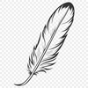 High-Quality SVG Bird Feather Design A high-quality vector illustration of a single bird's feather with precise edges and clean lines.