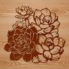 Succulent Foliage Illustration Close-up illustration of a succulent's distinctive foliage, often used in gardening designs and projects.