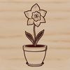 Bright Yellow Daffodil in Small Pot A single stem of bright yellow daffodil with white trumpet-shaped flowers in a small pot.