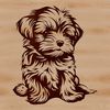 A small, white Havanese dog sitting on the floor with a calm expression.