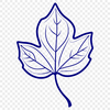 Beautiful Leaf Illustration A green leaf with a detailed illustration style, suitable for digital design projects.