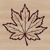 Beautiful Leaf Graphic with Veins and Edges A high-quality digital representation of a single leaf with detailed veins and edges.