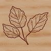 Nature's Emblem Vector Design A stylized illustration of a single green leaf with veins, suitable for vector graphics and design applications.
