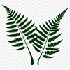 A stylized illustration of a leaf in vector format.