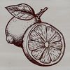 Fresh Lemon Vector Outline A transparent outline of a lemon fruit in vector format.