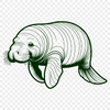 A digital illustration of a manatee swimming in the water, suitable for commercial or personal use.