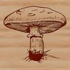 A high-resolution vector illustration of a mushroom for graphic design and printing purposes.