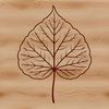 A single leaf with detailed veins and texture, ideal for vector design projects.