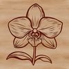 A colorful, stylized orchid plant with long petals and delicate stem.