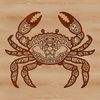 Ornate Wild Animal Illustration A detailed illustration of a wild animal, an ornate crab, suitable for vector art design.
