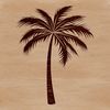 A single stem with a crown of leaves representing a palm tree in a natural setting.