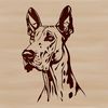 A large breed dog's head, specifically that of a Great Dane, depicted in vector format.