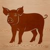 A pig standing in a farm yard.