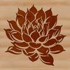 A stylized representation of a succulent in a botanical style, suitable for use as vector art.