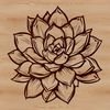 Beautiful Desert Flower Design A detailed illustration of a succulent plant with thick fleshy leaves, perfect for gardening and floral designs.