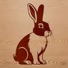 Beautiful Domesticated Rabbit Graphic An illustration of a domesticated rabbit in a static position.