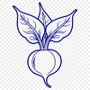 A detailed vector illustration of a radish for food-related designs.