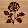 A realistic illustration of a single rose bloom in full color.