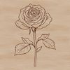 A realistic illustration of a single red rose flower with green foliage.