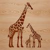 Giraffe Illustration with Spots Illustration of a tall savannah animal with long neck and spots.