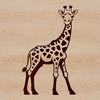 Beautiful African Animal SVG Graphics A detailed illustration of a giraffe in vector format.