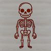 Free Vector Skeleton Clip Art A digital illustration of a standing skeleton figure, created using vector art.