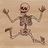 Beautiful Vector Skeleton Illustration A detailed illustration of a human skeleton rendered in vector format, suitable for various design applications.