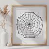 A detailed illustration of a spider web, perfect for vector art projects in Procreate, Photoshop, or Illustrator.
