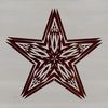 A stylized star icon created as a vector design in SVG format.