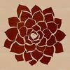 An outline design of a succulent plant in vector format.