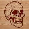 A detailed illustration of a human skull in a bold design style suitable for tattoo or stencil art.