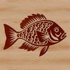 Colorful Vector Crappie Design Illustrative vector design of a freshwater fish, specifically a Crappie species.