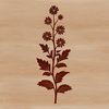 Detailed Floral Vector Art Design Illustrated wild flower with detailed petals and center, suitable for vector art and graphic design projects.
