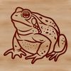 A digital illustration of a wild toad in a vector format.