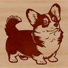 Adorable Corgi Companion A small breed dog with a short stature standing on its hind legs, typically a companion animal and popular pet.