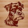 Miniature Dog Breed Portrait Vector Art Illustration of a miniature schnauzer dog breed, suitable for vector design and commercial use.