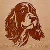 A detailed illustration of a friendly-looking Cocker Spaniel's head, suitable for vector design.