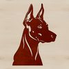 An illustration of a Doberman Pinscher's head with detailed facial features.