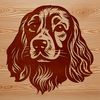 Beautiful Cocker Spaniel Portrait Vector A detailed illustration of a Cocker Spaniel's head, suitable for vector design and cutting machine applications.