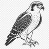 Detailed Falcon SVG Design Free Download A detailed vector illustration of a falcon in flight, suitable for commercial or personal use in various design projects.
